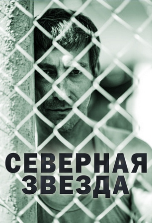 похожий сериал Северная звезда (2022)