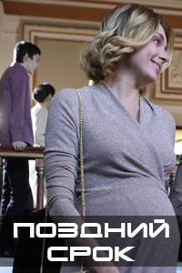 похожий сериал Поздний срок (2020)
