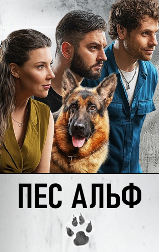 похожий сериал Пес Альф (2024)