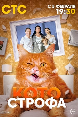 Котострофа 2024, 2025