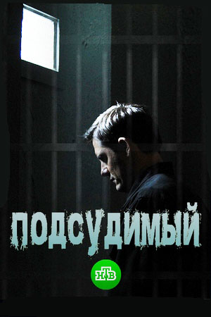похожий сериал Подсудимый (2019)