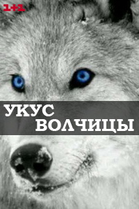 похожий сериал Укус волчицы (2019)