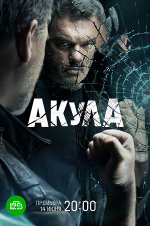 Акула 2022