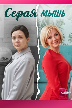 похожий сериал Серая мышь (2023)
