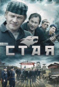 похожий сериал Стая (2009)